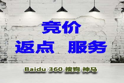 成功企业SEM竞价代运营案例研究